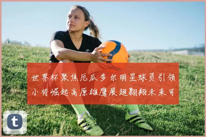 世界杯聚焦厄瓜多尔明星球员引领小将崛起高原雄鹰展翅翱翔未来可期